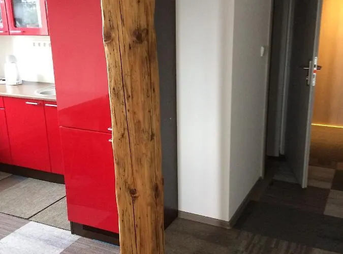 Near Zoo With Free Parking Appartement
